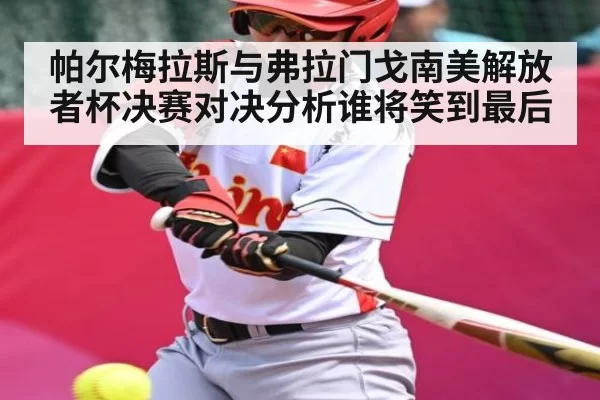帕尔梅拉斯与弗拉门戈南美解放者杯决赛对决分析谁将笑到最后